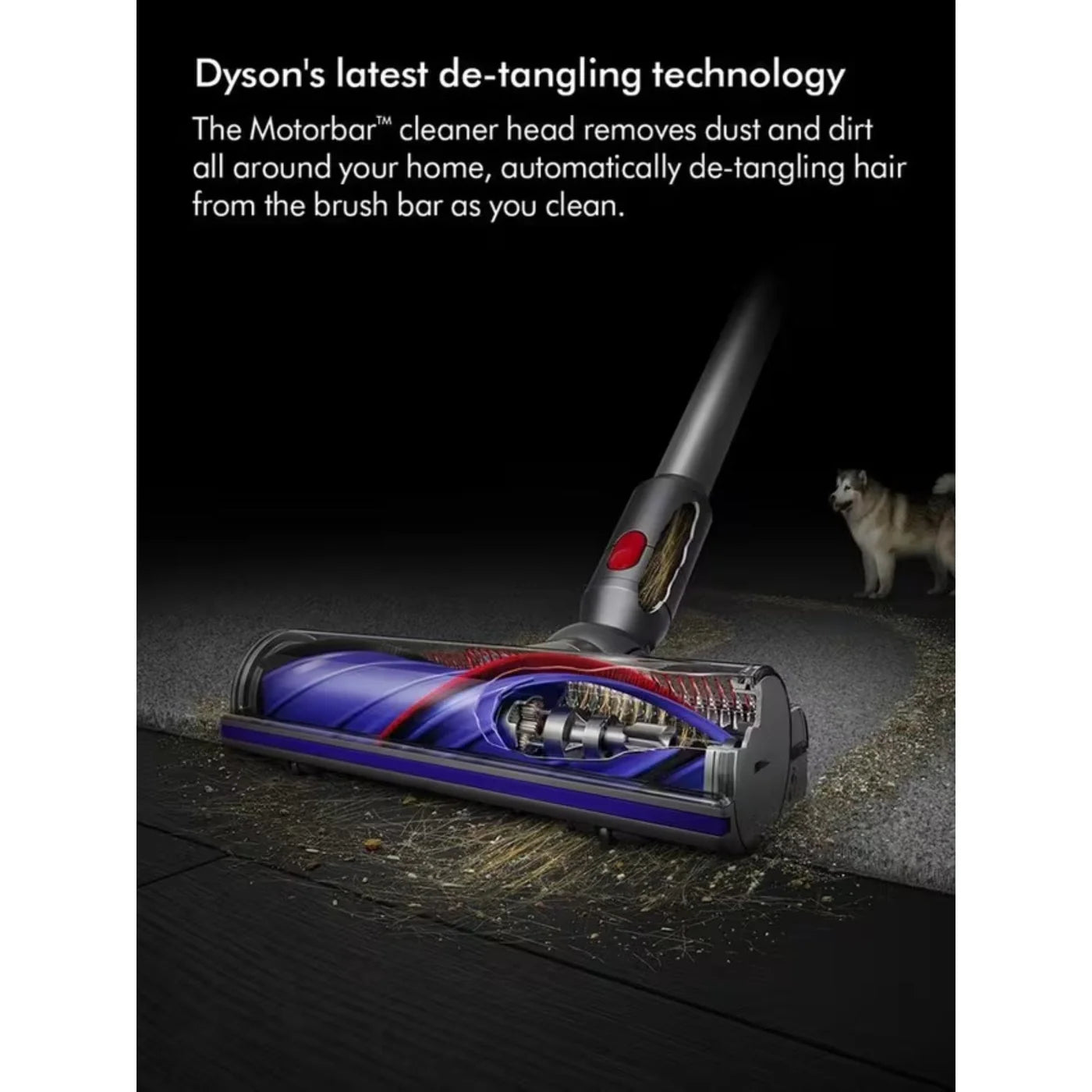 Dyson V8 Advanced Cordless Vacuum Cleaner In Silver/Nickel